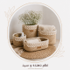 نظم دهنده و سبد